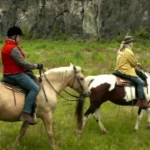 Naturerkundung per Pferd in der Vulkaneifel