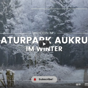 Winterliche Wanderung durch den Naturpark Aukrug