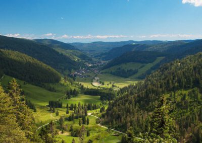 Biosphärengebiet Schwarzwald