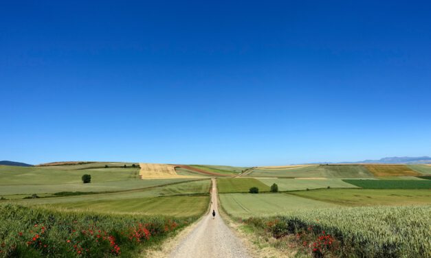 Der Altmühltal-Panoramaweg