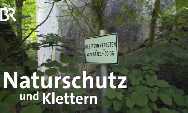 Naturschutz und Klettern im Altmühltal