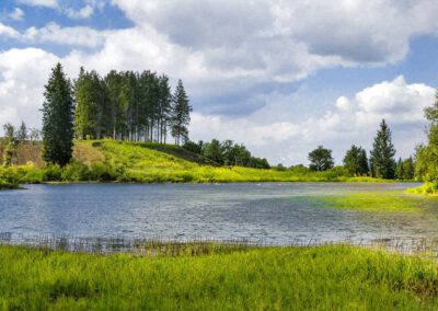 Naturpark Feldberger Seenlandschaft
