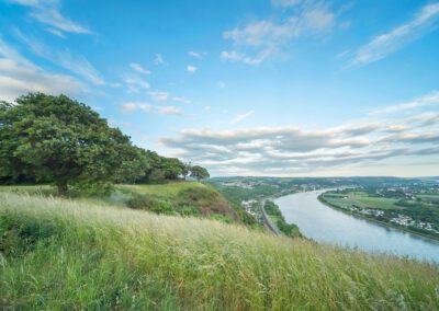 Naturpark Rhein-Westerwald