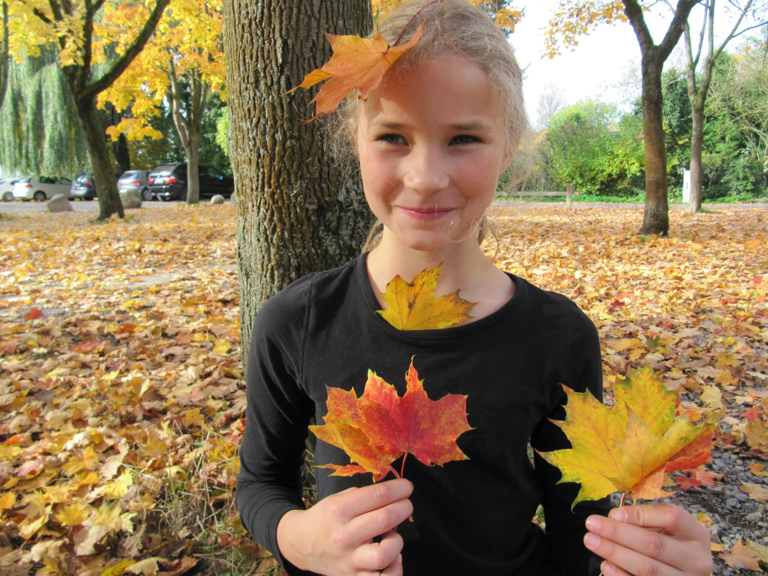 Herbstdeko basteln im Klosterwald Loccum • Natura Event