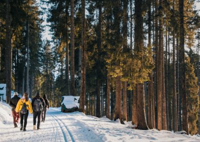 Wanderwege & Wanderrouten