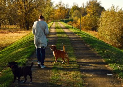 Wandern mit Hund im Nationalpark De Meinweg