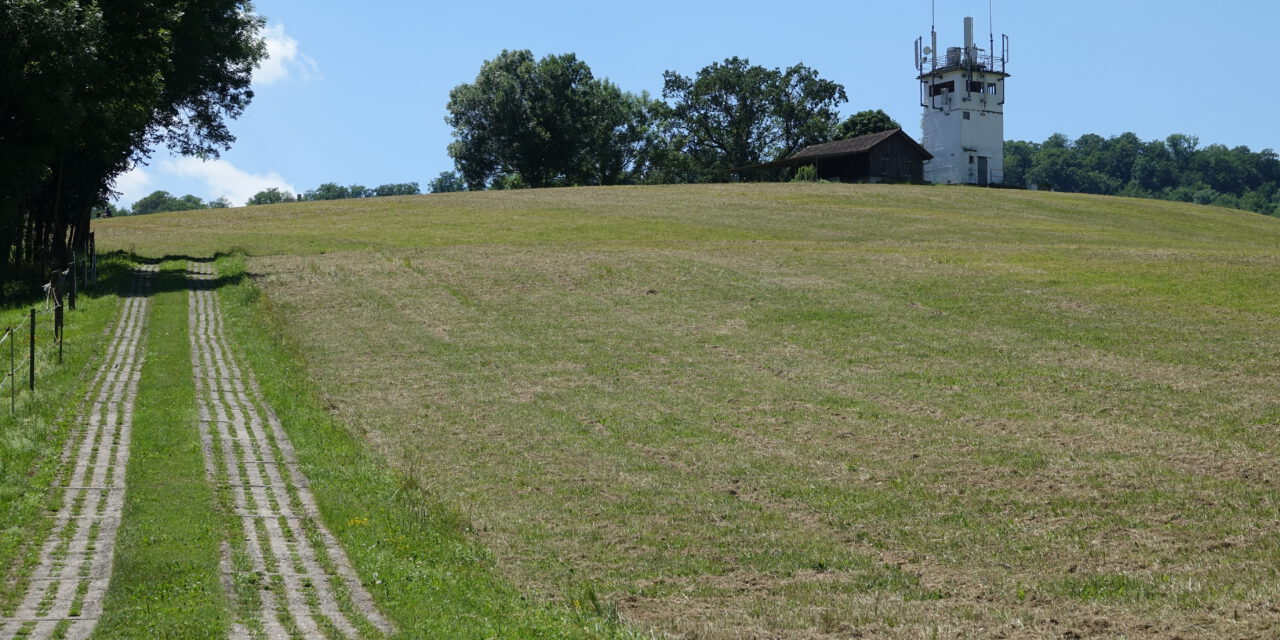 Genusswandern im Ringgau