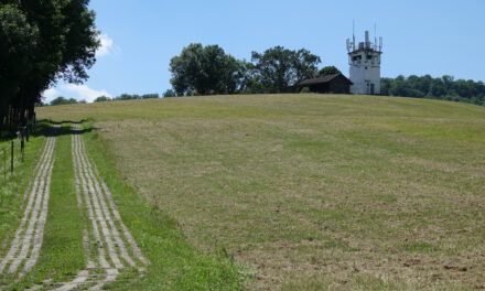 Genusswandern im Ringgau