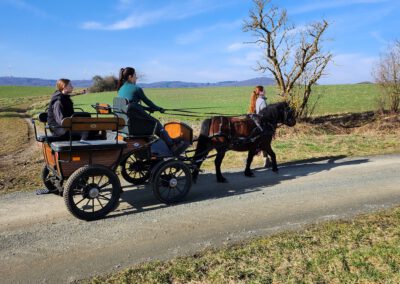 Kutschfahrten durch den Naturpark mit den Waldpferden