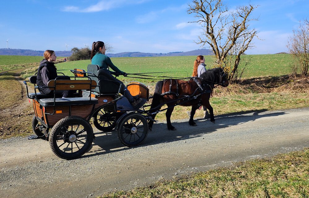 Kutschfahrten durch den Naturpark mit den Waldpferden