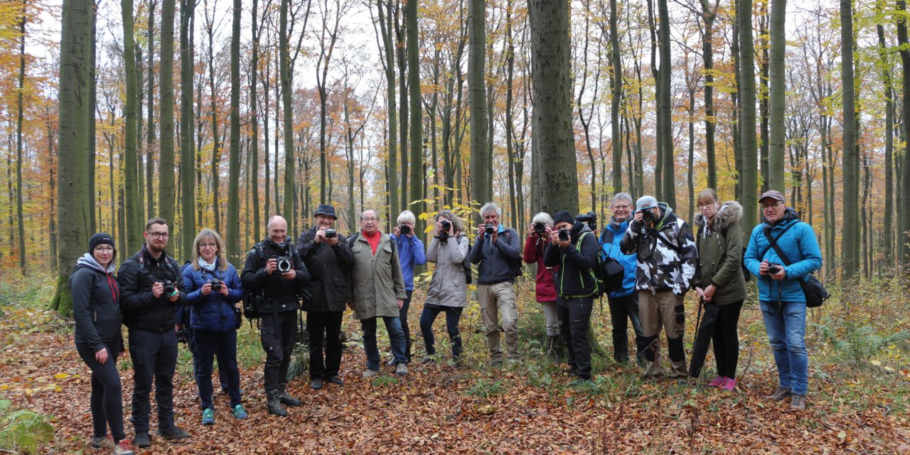 Fotowanderung Herbststimmung am Hohen Meißner