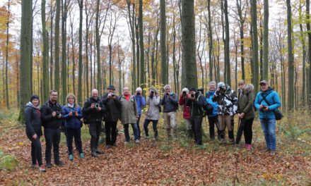 Fotowanderung Herbststimmung am Hohen Meißner