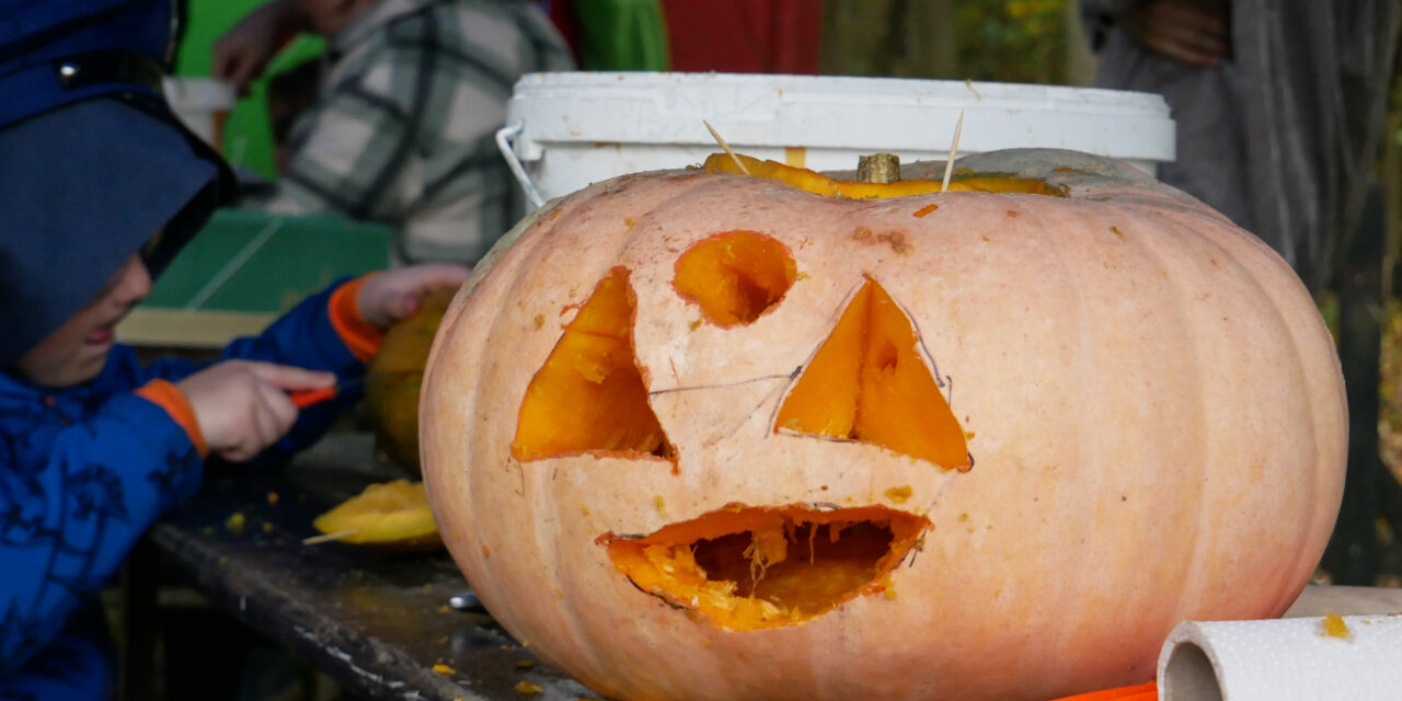 Halloween im Natureum Niederelbe