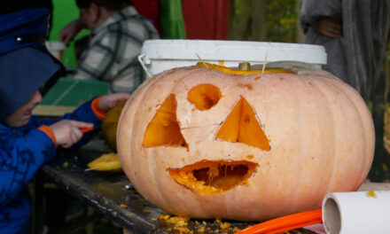 Halloween im Natureum Niederelbe