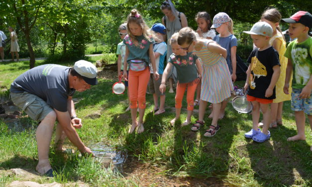 Naturpark als Lernort für Schulen