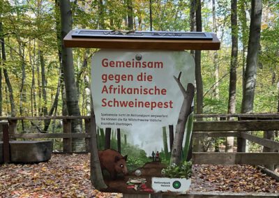 Gemeinsam gegen die Afrikanische Schweinepest