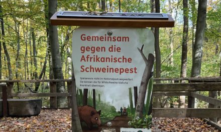 Gemeinsam gegen die Afrikanische Schweinepest