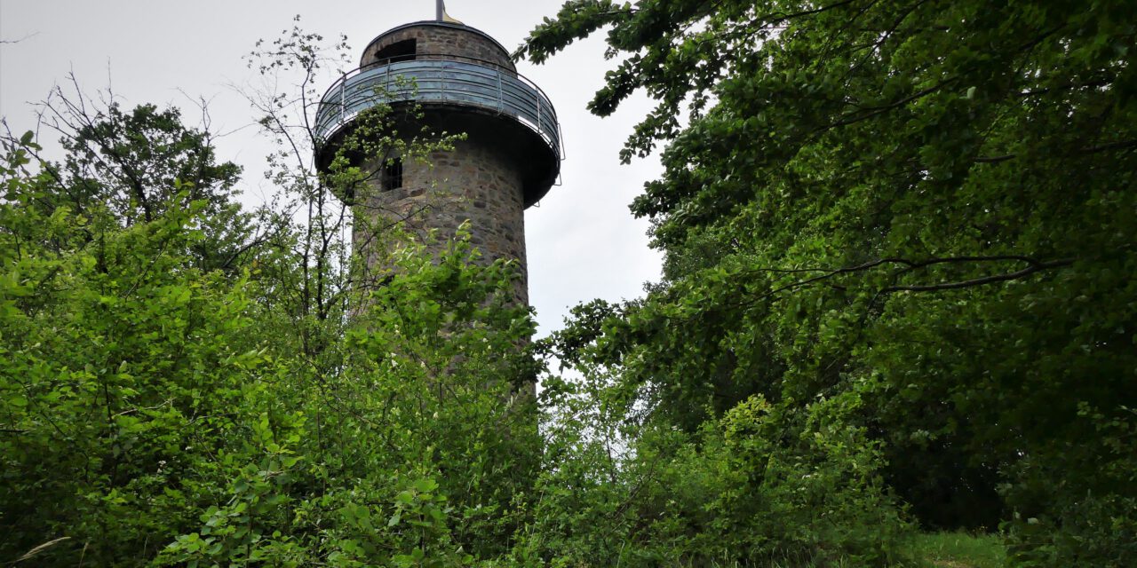 Dankeschönwanderung auf der Spessartfährte