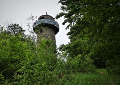 Dankeschönwanderung auf der Spessartfährte