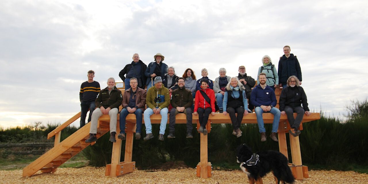 Neue „XXL-Baumelbank” im Nationalpark Eifel