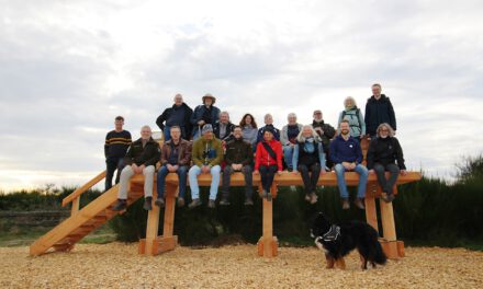 Neue „XXL-Baumelbank” im Nationalpark Eifel