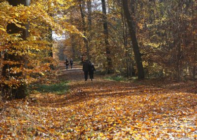 Waldwege sind keine Gehwege