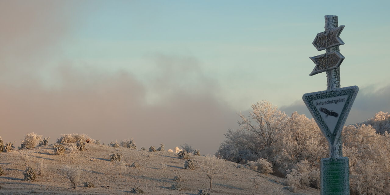 Kleine Winterwanderung zu Mariä Lichtmess