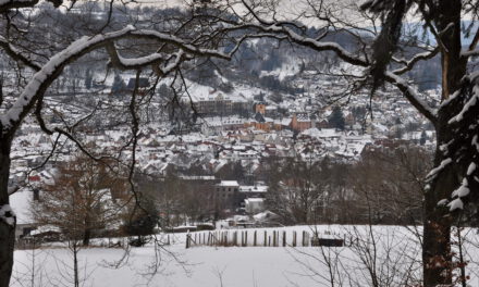 Winterwanderung „Augen Blick Runde um Bad Orb“