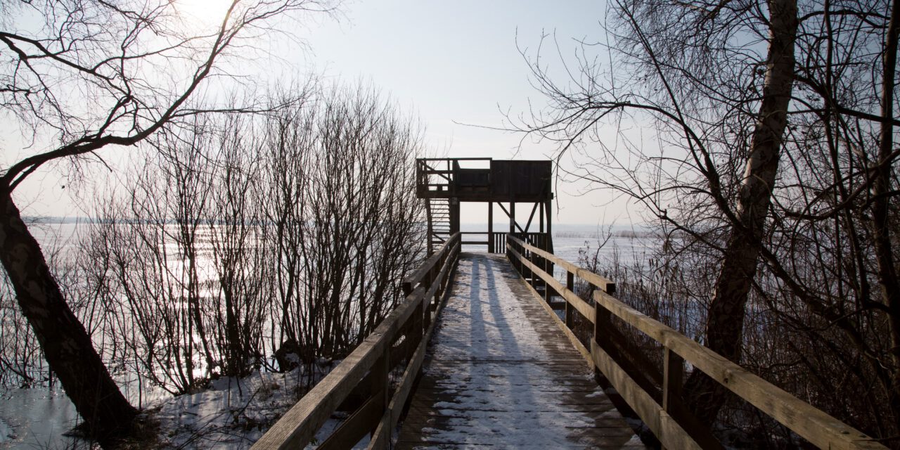 Aussichtsturm „Neue Moorhütte”