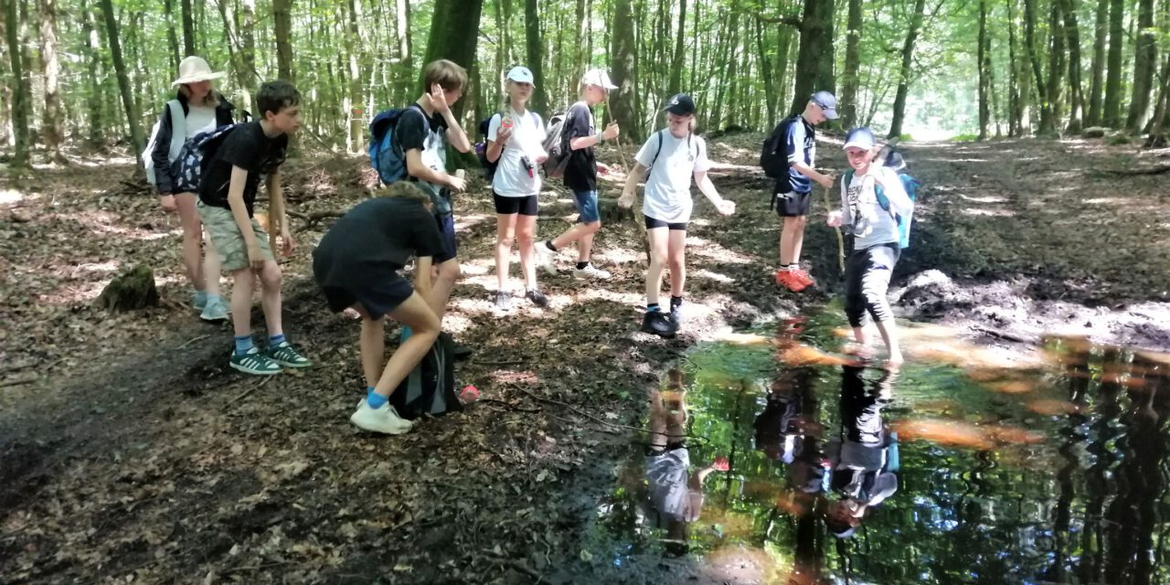 Jetzt anmelden beim Naturpark-Elemente-Camp  2025!