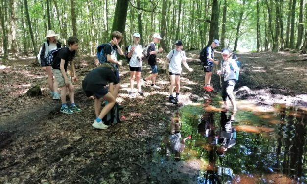 Jetzt anmelden beim Naturpark-Elemente-Camp  2025!