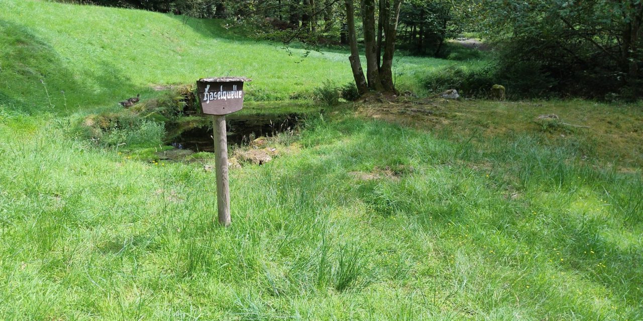 Zauberhaftes Haselbachtal