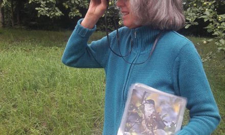 Vogelstimmenwanderung am Fuße des Buchwaldkopfes