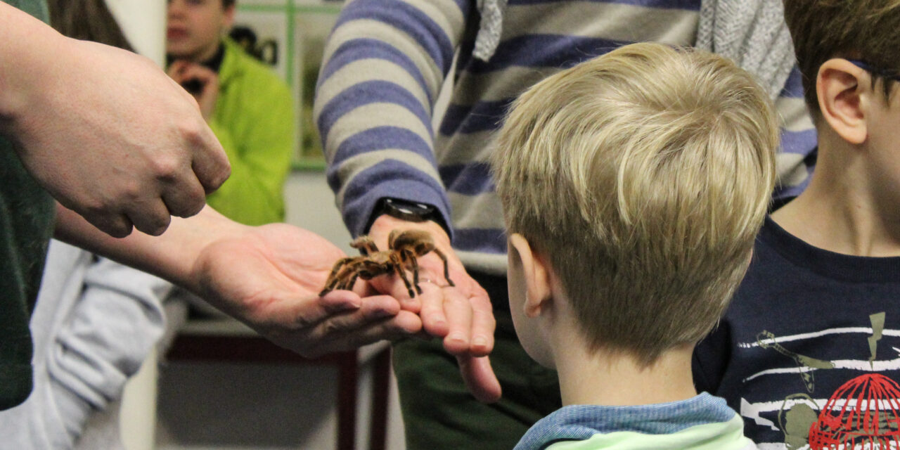 Tierische Filmstars zu Gast im Natureum