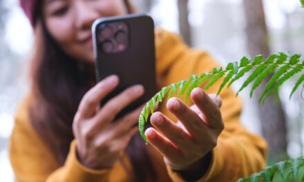 „Dein Rhöner Biosphären-Schatz “