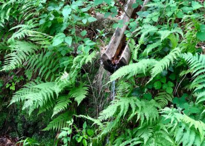 Natur und Kultur mit allen Sinnen erleben