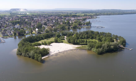 Ferienaktion auf der Badeinsel in Steinhude – für Familien