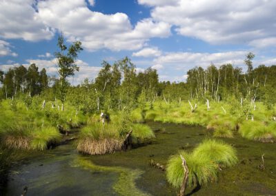 Ferienaktion im Moor – für Familien