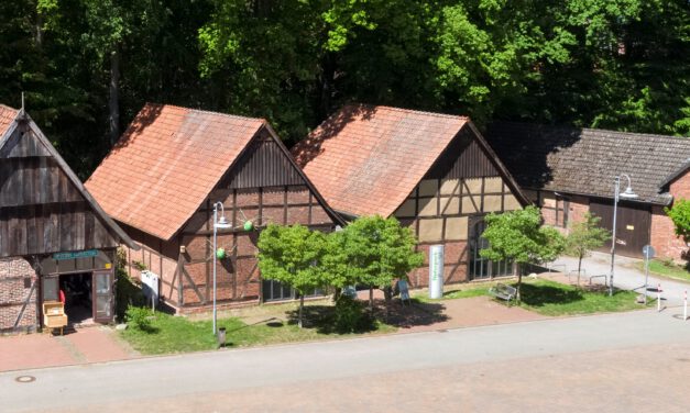 Dem Heckrind auf der Spur
