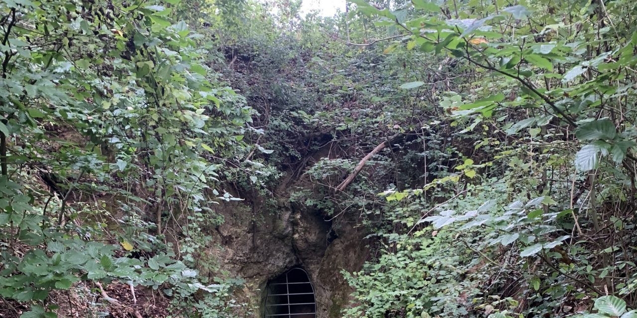 Was uns Steine erzählen – Geologischer Streifzug