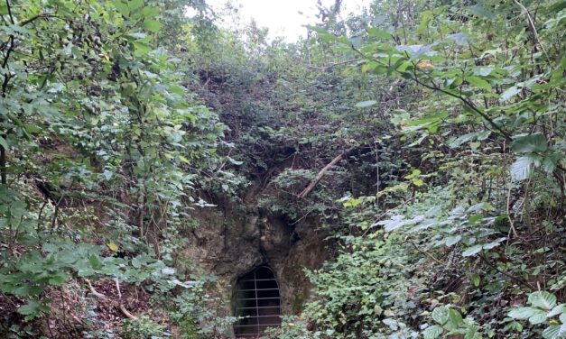 Was uns Steine erzählen – Geologischer Streifzug
