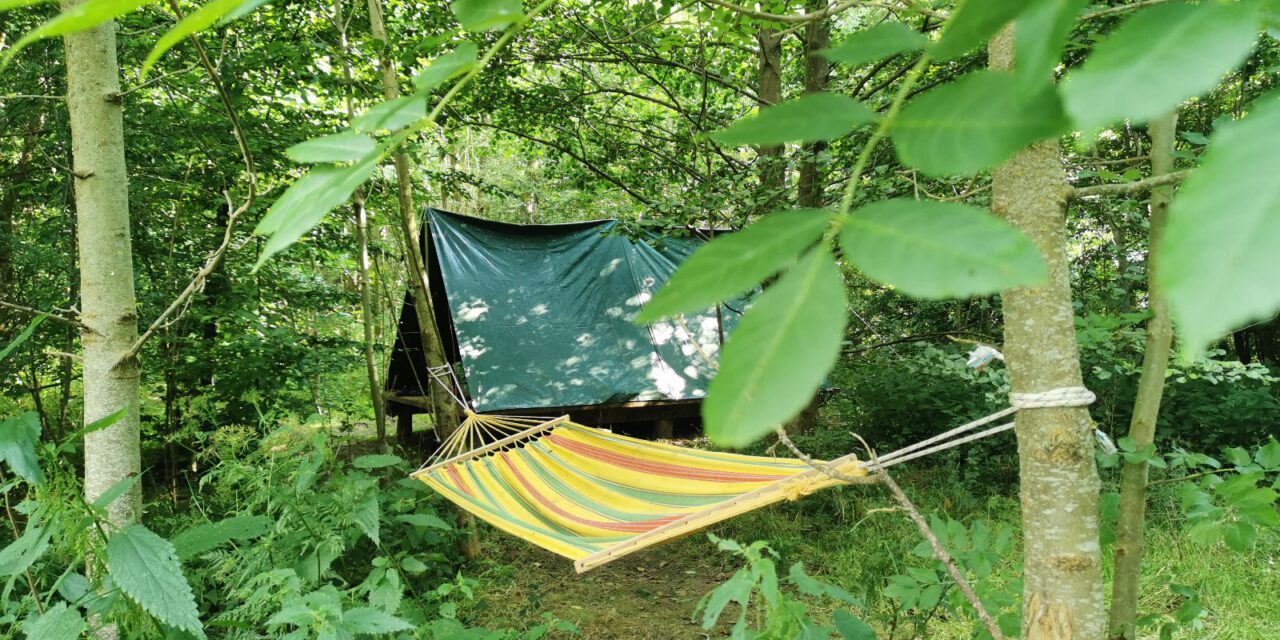 Wildniswanderung für Erwachsene