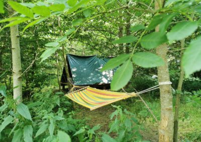 Wildniswanderung für Erwachsene