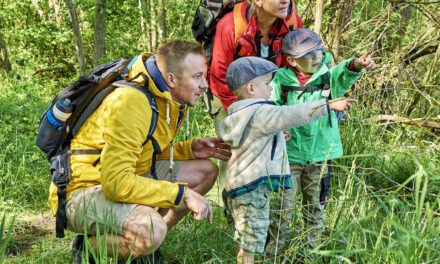 Familienwanderung mit Picknick bei Markt Bibart