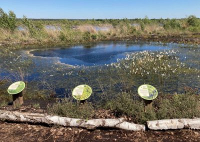 Moorerlebniswanderung ins Naturschutzgebiet „Totes Moor”