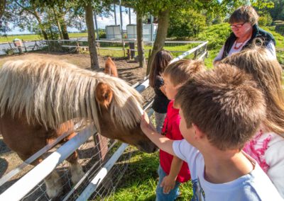 Abwechslungsreiches Ferienprogramm im Natureum