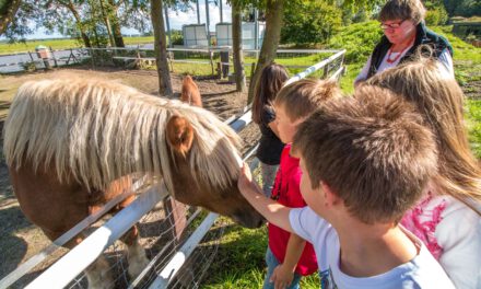 Abwechslungsreiches Ferienprogramm im Natureum