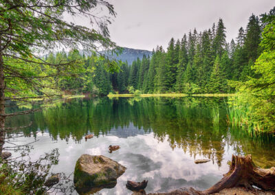 Naturpark Elm-Lappwald