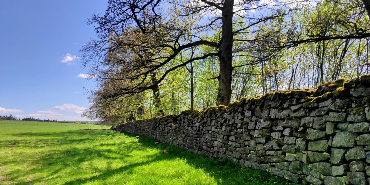 39. Neuhäuser Wandertag – Ein Erlebnis für Wanderfreunde