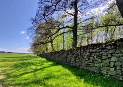 39. Neuhäuser Wandertag – Ein Erlebnis für Wanderfreunde